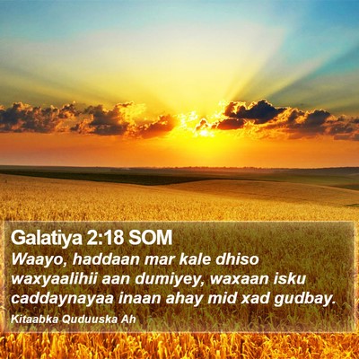 Galatiya 2:18 SOM Bible Verse Image