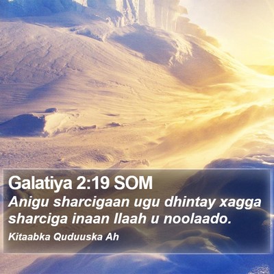 Galatiya 2:19 SOM Bible Verse Image