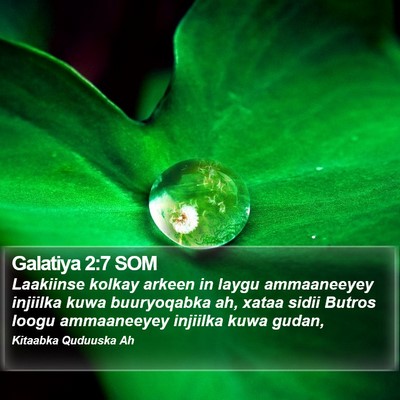 Galatiya 2:7 SOM Bible Verse Image