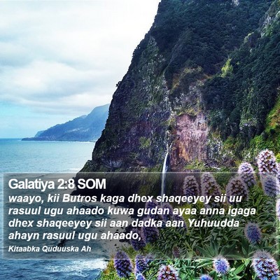 Galatiya 2:8 SOM Bible Verse Image