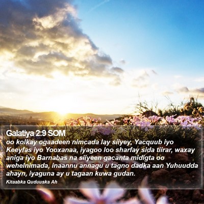 Galatiya 2:9 SOM Bible Verse Image