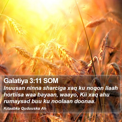 Galatiya 3:11 SOM Bible Verse Image