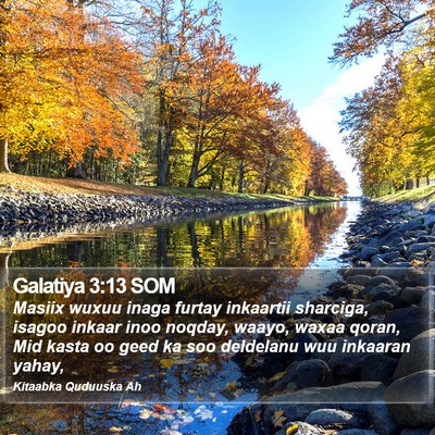Galatiya 3:13 SOM Bible Verse Image