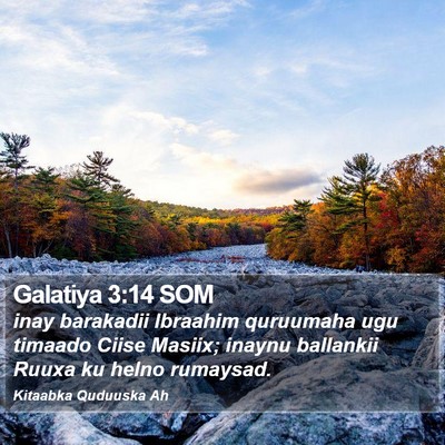 Galatiya 3:14 SOM Bible Verse Image