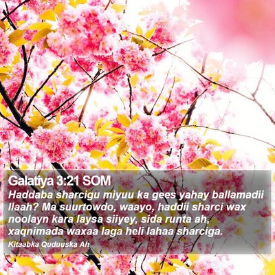 Galatiya 3:21 SOM Bible Verse Image