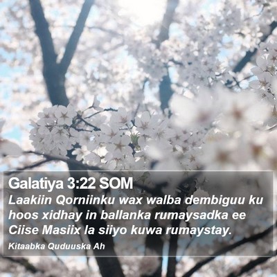 Galatiya 3:22 SOM Bible Verse Image
