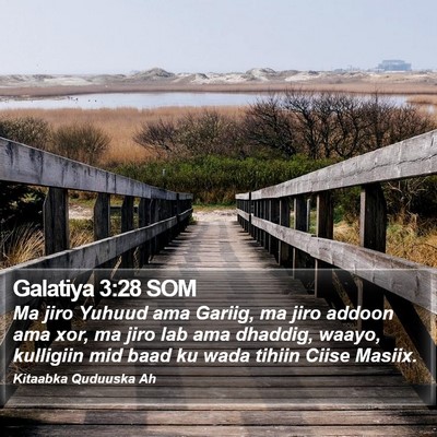 Galatiya 3:28 SOM Bible Verse Image