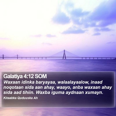 Galatiya 4:12 SOM Bible Verse Image
