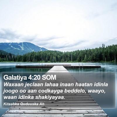 Galatiya 4:20 SOM Bible Verse Image