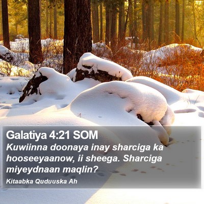 Galatiya 4:21 SOM Bible Verse Image