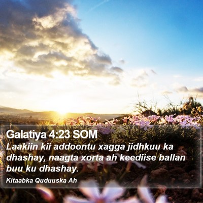 Galatiya 4:23 SOM Bible Verse Image
