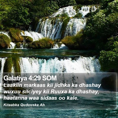 Galatiya 4:29 SOM Bible Verse Image