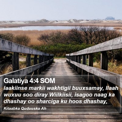 Galatiya 4:4 SOM Bible Verse Image
