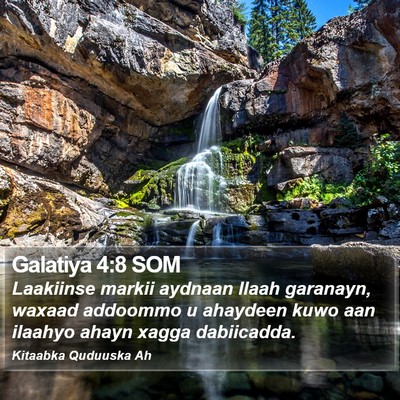 Galatiya 4:8 SOM Bible Verse Image