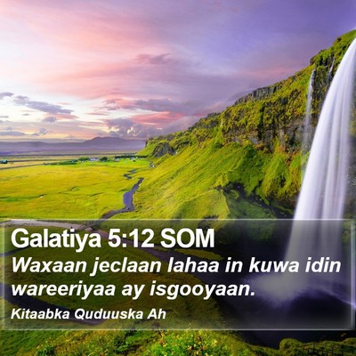 Galatiya 5:12 SOM Bible Verse Image