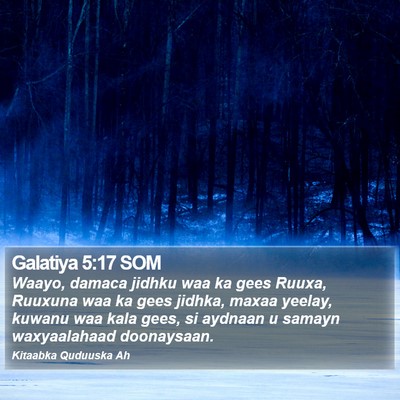 Galatiya 5:17 SOM Bible Verse Image