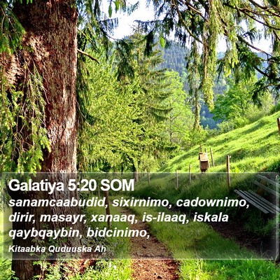 Galatiya 5:20 SOM Bible Verse Image