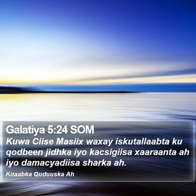 Galatiya 5:24 SOM Bible Verse Image