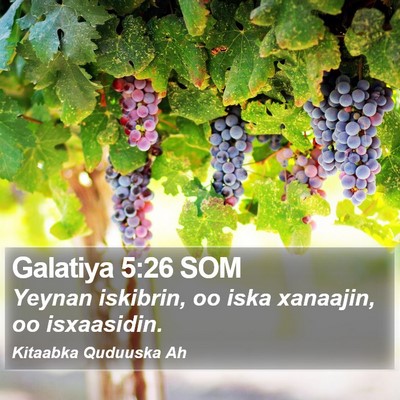 Galatiya 5:26 SOM Bible Verse Image