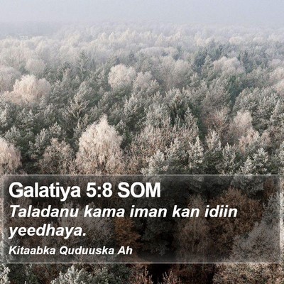 Galatiya 5:8 SOM Bible Verse Image