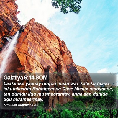 Galatiya 6:14 SOM Bible Verse Image