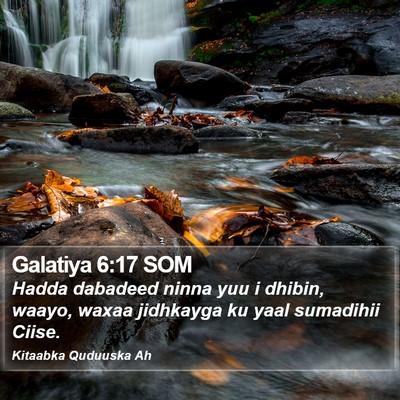 Galatiya 6:17 SOM Bible Verse Image