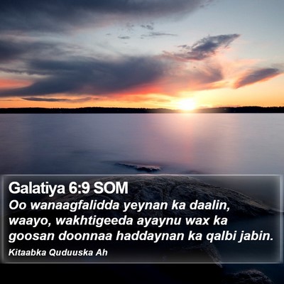 Galatiya 6:9 SOM Bible Verse Image