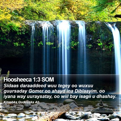 Hoosheeca 1:3 SOM Bible Verse Image