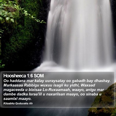 Hoosheeca 1:6 SOM Bible Verse Image