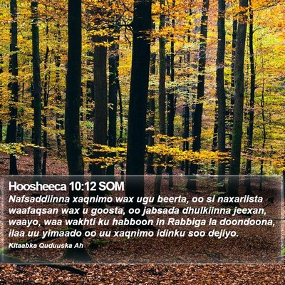 Hoosheeca 10:12 SOM Bible Verse Image