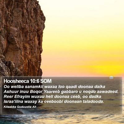 Hoosheeca 10:6 SOM Bible Verse Image
