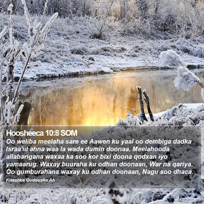 Hoosheeca 10:8 SOM Bible Verse Image