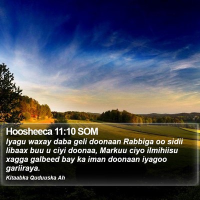 Hoosheeca 11:10 SOM Bible Verse Image