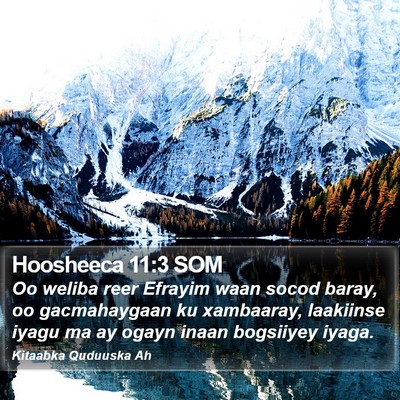 Hoosheeca 11:3 SOM Bible Verse Image