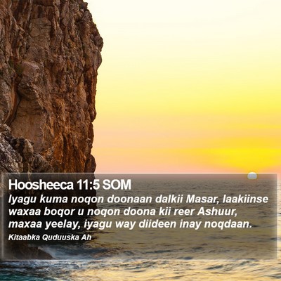 Hoosheeca 11:5 SOM Bible Verse Image