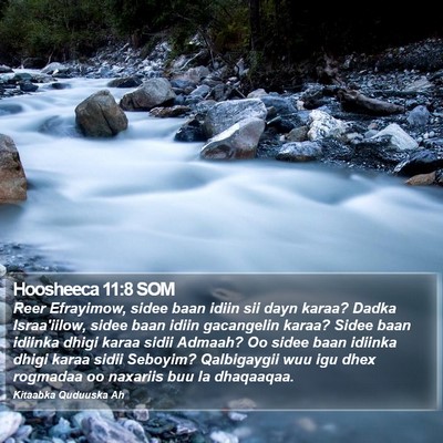 Hoosheeca 11:8 SOM Bible Verse Image