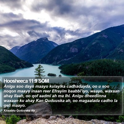 Hoosheeca 11:9 SOM Bible Verse Image