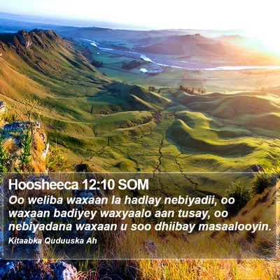 Hoosheeca 12:10 SOM Bible Verse Image