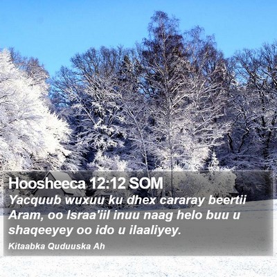 Hoosheeca 12:12 SOM Bible Verse Image