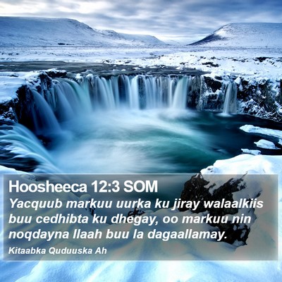 Hoosheeca 12:3 SOM Bible Verse Image