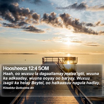 Hoosheeca 12:4 SOM Bible Verse Image