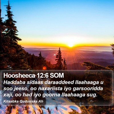 Hoosheeca 12:6 SOM Bible Verse Image
