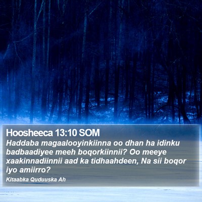 Hoosheeca 13:10 SOM Bible Verse Image