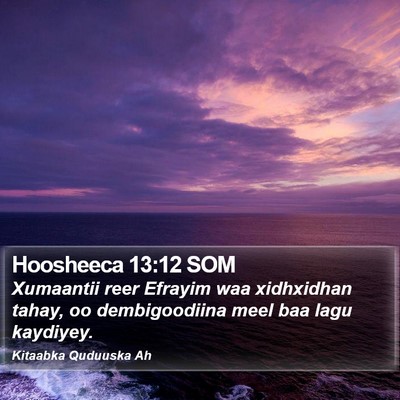 Hoosheeca 13:12 SOM Bible Verse Image