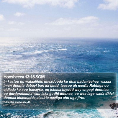 Hoosheeca 13:15 SOM Bible Verse Image