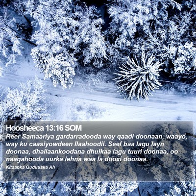 Hoosheeca 13:16 SOM Bible Verse Image