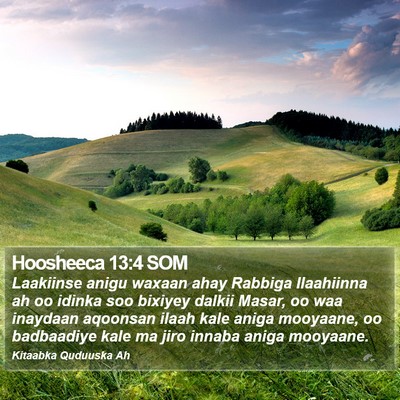 Hoosheeca 13:4 SOM Bible Verse Image