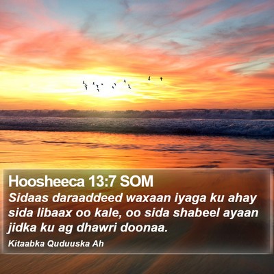 Hoosheeca 13:7 SOM Bible Verse Image