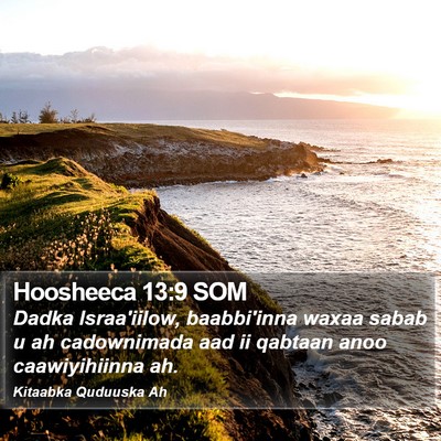 Hoosheeca 13:9 SOM Bible Verse Image
