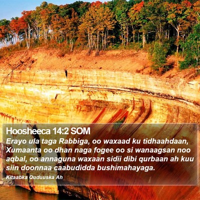 Hoosheeca 14:2 SOM Bible Verse Image